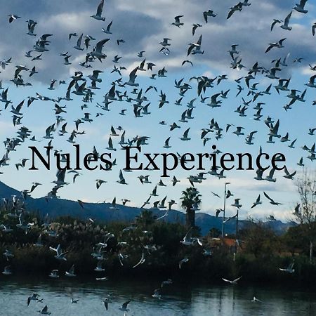 Apartamento Nules Experience Mascarell Εξωτερικό φωτογραφία