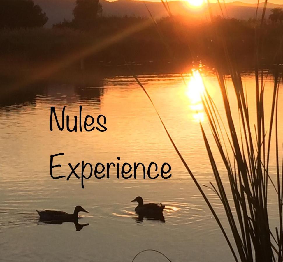 Apartamento Nules Experience Mascarell Εξωτερικό φωτογραφία